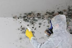 Best Industrial Mold Remediation  in Cecil Bishop, PA